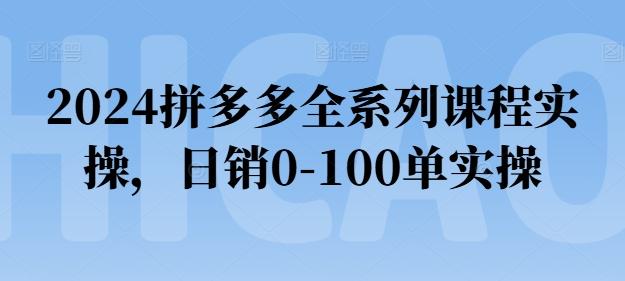 2024拼多多全系列课程实操，日销0-100单实操【必看】-小鹏项目网