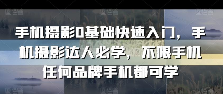 手机摄影0基础快速入门，手机摄影达人必学，不限手机任何品牌手机都可学-小鹏项目网