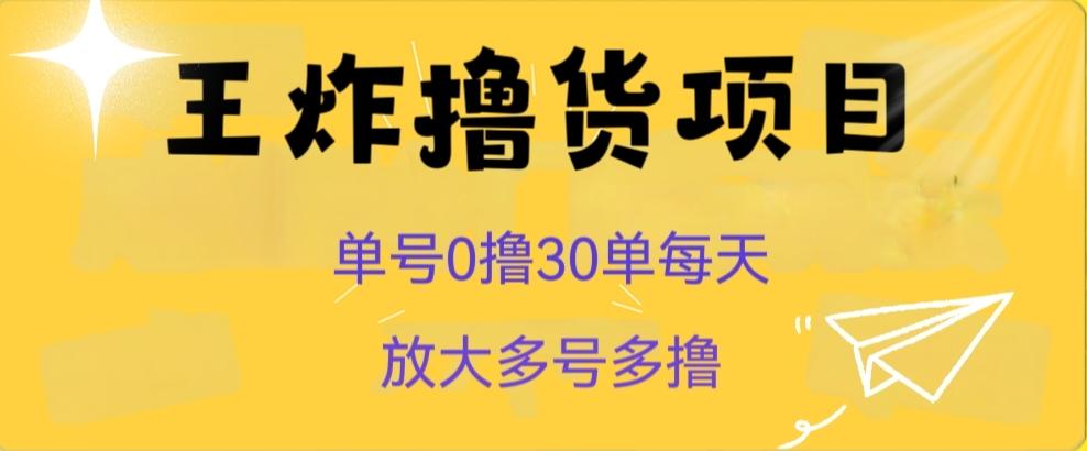王炸撸货项目，单号0撸30单每天，多号多撸【揭秘】-小鹏项目网