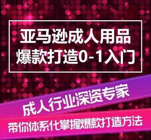 亚马逊成人用品爆款打造0-1入门，系统化讲解亚马逊成人用品爆款打造的流程-小鹏项目网