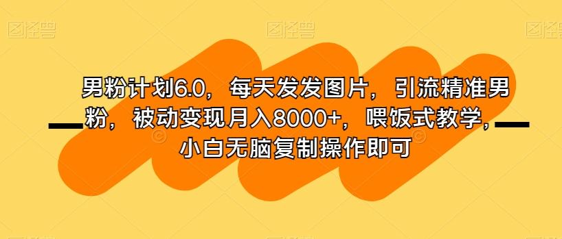 男粉计划6.0，每天发发图片，引流精准男粉，被动变现月入8000+，喂饭式教学，小白无脑复制操作即可-小鹏项目网