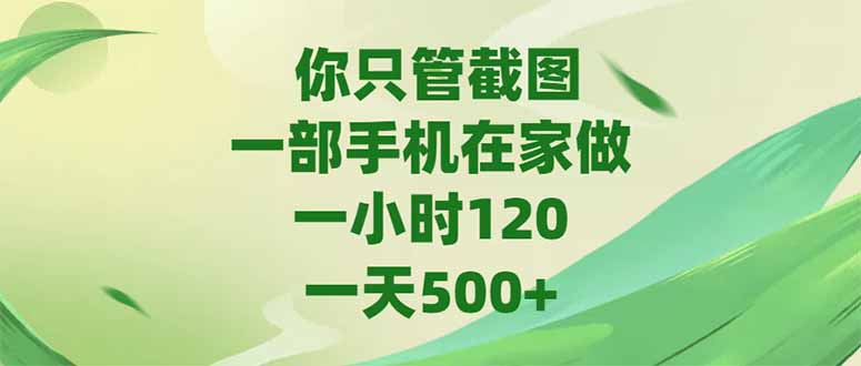 你只管截图，一部手机在家做，一小时120，-天500+-小鹏项目网