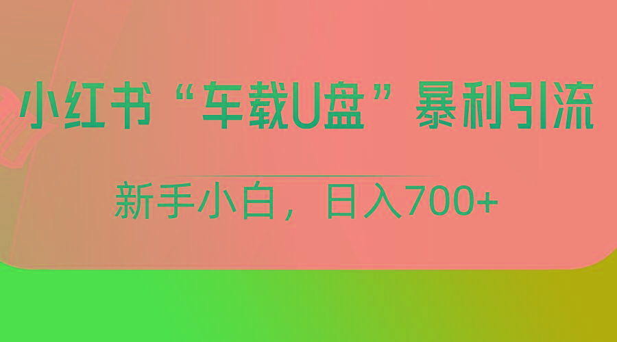小红书“车载U盘”项目，暴利引流，新手小白轻松日入700+-小鹏项目网