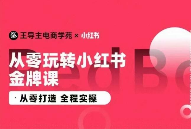 王导主·小红书电商运营实操课，​从零打造  全程实操-小鹏项目网