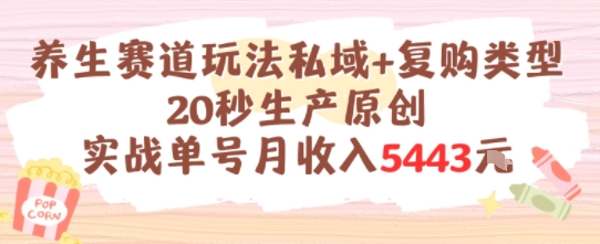 养生赛道玩法私域+复购类型，20秒生产原创实战单号月收入5k+-小鹏项目网