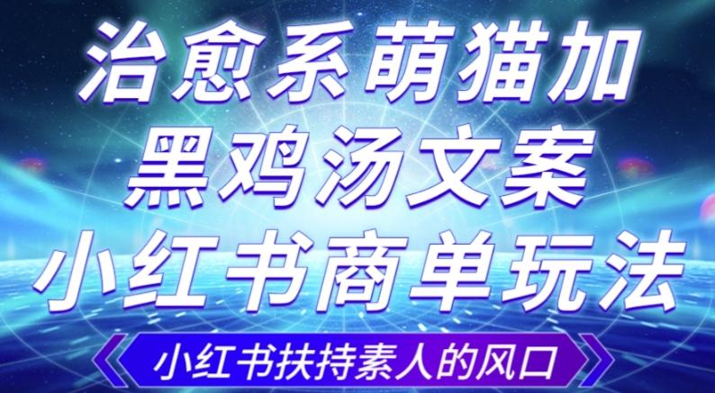 治愈系萌猫加+黑鸡汤文案，小红书商单玩法，3~10天涨到1000粉，一单200左右-小鹏项目网