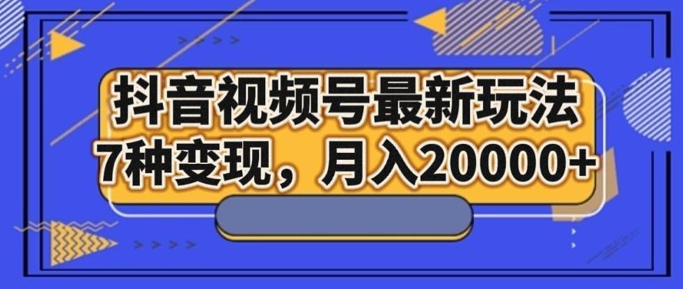 抖音视频号最新玩法，7种变现，月入20000+-小鹏项目网
