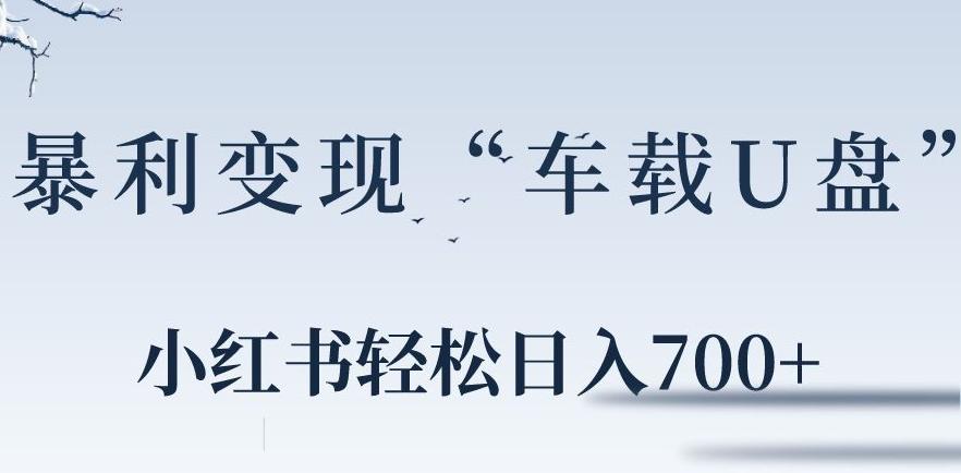 小红书“车载U盘”暴利引流，日入700+-小鹏项目网