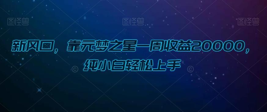 新风口，靠元梦之星一周收益20000，纯小白轻松上手-小鹏项目网