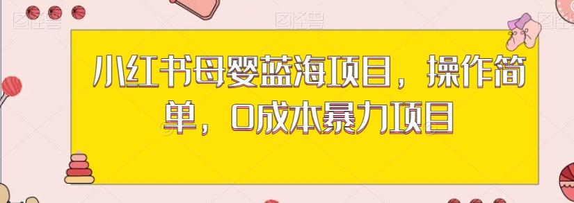 小红书母婴蓝海项目，操作简单，0成本暴力项目-小鹏项目网
