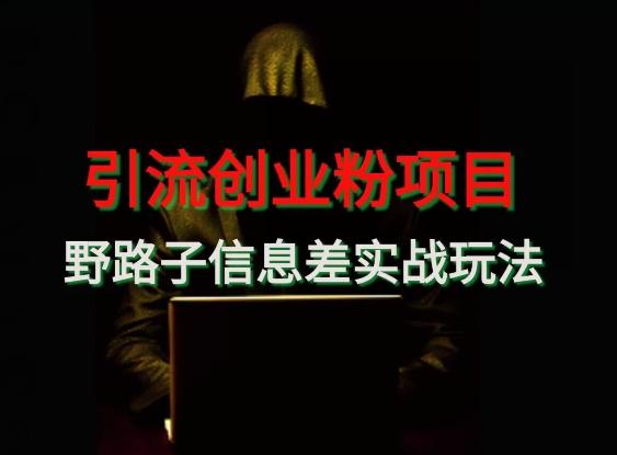 【引流创业粉】野路子信息差玩法实战教学-小鹏项目网