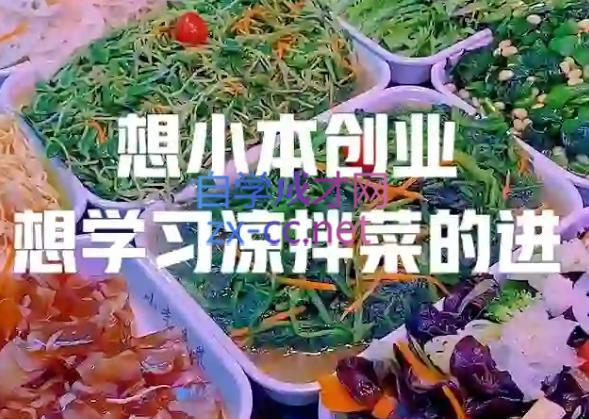 李记·精品凉拌菜系列热卤系列教程-小鹏项目网
