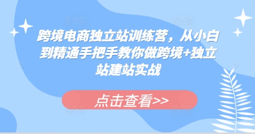 跨境电商独立站训练营，从小白到精通手把手教你做跨境+独立站建站实战-小鹏项目网