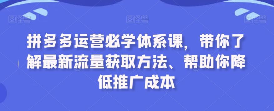 拼多多运营必学体系课，带你了解最新流量获取方法、帮助你降低推广成本-小鹏项目网