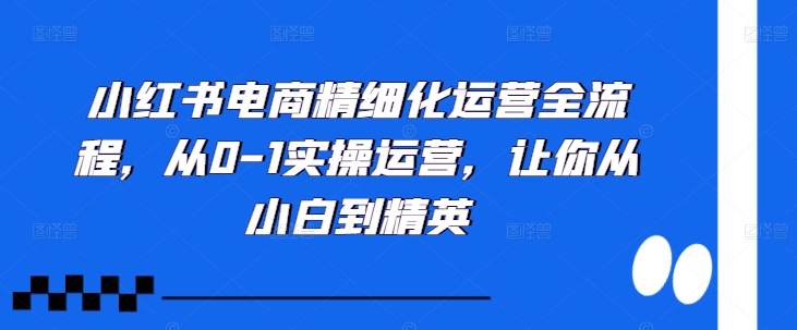 小红书电商精细化运营全流程，从0-1实操运营，让你从小白到精英-小鹏项目网