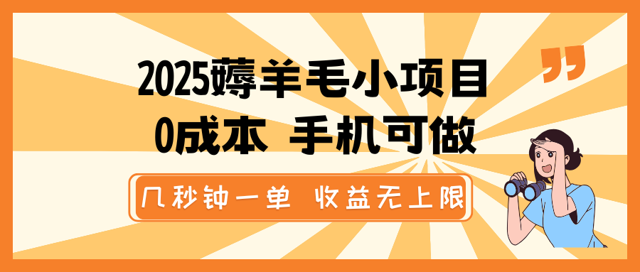 2025薅羊毛小项目，0成本 手机可做，几秒钟一单，收益无上限-小鹏项目网