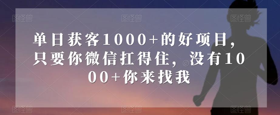 单日获客1000+的好项目，只要你微信扛得住，没有1000+你来找我【揭秘】-小鹏项目网