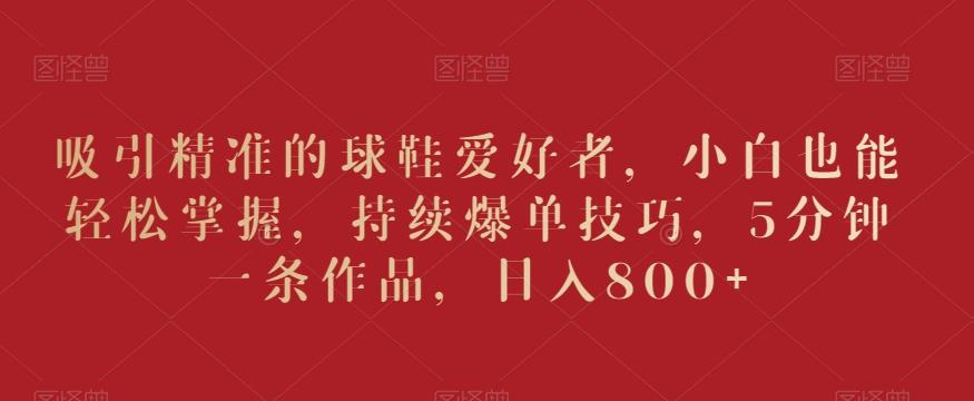 吸引精准的球鞋爱好者，小白也能轻松掌握，持续爆单技巧，5分钟一条作品，日入800+【揭秘】-小鹏项目网