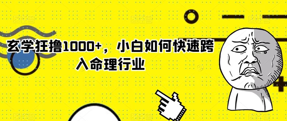玄学狂撸1000+，小白如何快速跨入命理行业-小鹏项目网