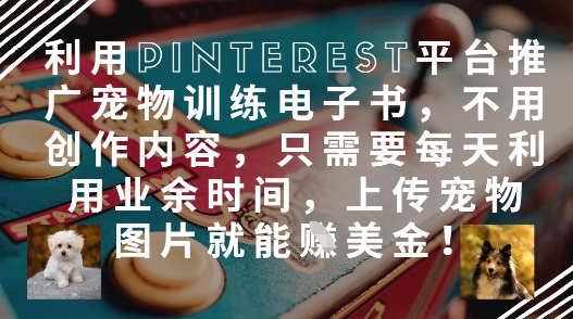 利用Pinterest平台推广宠物训练电子书，不用创作内容，只需要每天利用业余时间，上传宠物图片就能挣美金!-小鹏项目网