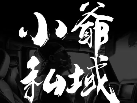 小爷·私域项目操盘手-小鹏项目网