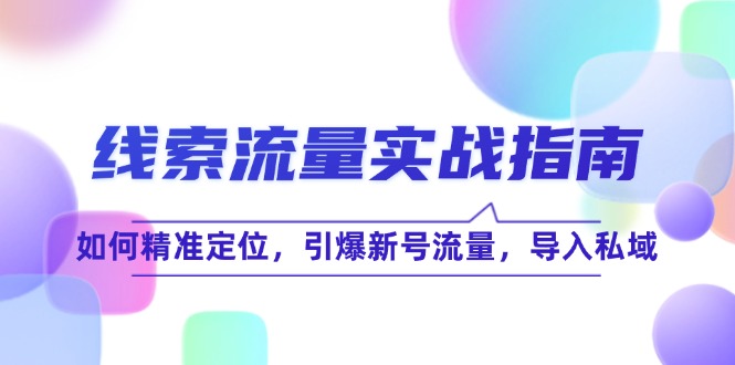 线 索 流 量-实战指南：如何精准定位，引爆新号流量，导入私域-小鹏项目网