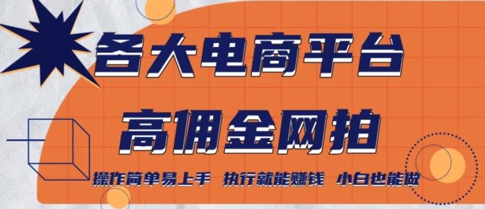 各大电商平台高佣金网拍，操作简单易上手，执行就能赚钱，小白也能做-小鹏项目网