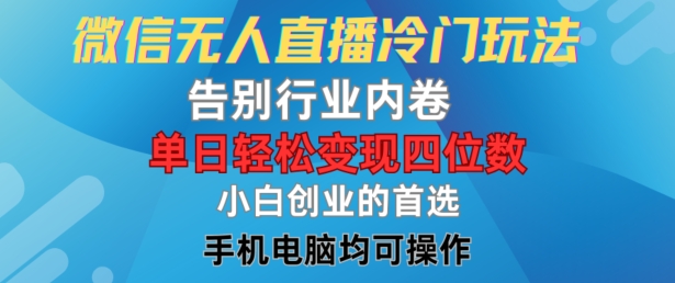 微信无人直播冷门玩法，告别行业内卷，单日轻松变现四位数，小白的创业首选【揭秘】-小鹏项目网