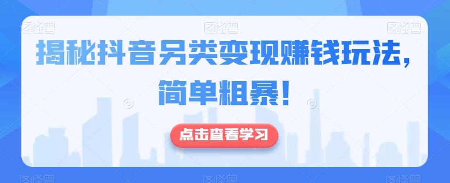 揭秘抖音另类变现赚钱玩法，简单粗暴！-小鹏项目网