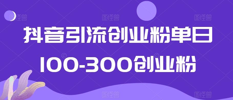 抖音引流创业粉单日100-300创业粉【揭秘】-小鹏项目网