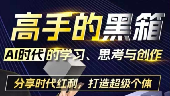 高手的黑箱：AI时代学习、思考与创作-分红时代红利，打造超级个体-小鹏项目网