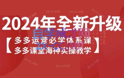 海神老师·拼多多运营必学体系课-小鹏项目网
