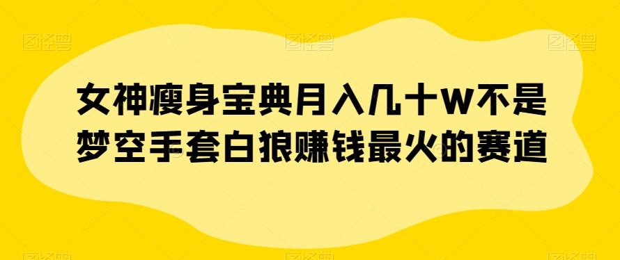 女神瘦身宝典月入几十W不是梦空手套白狼赚钱最火的赛道【揭秘】-小鹏项目网