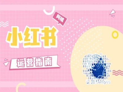 小红书运营指南，没有套路，全是经验-小鹏项目网