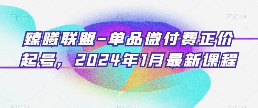 臻曦联盟-单品微付费正价起号，2024年1月最新课程-小鹏项目网