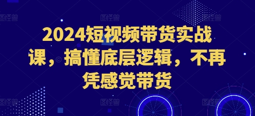 2024短视频带货实战课，搞懂底层逻辑，不再凭感觉带货-小鹏项目网