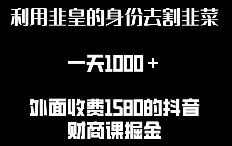 利用非皇的身份去割韭菜，一天1000+(附详细资源)【揭秘】-小鹏项目网