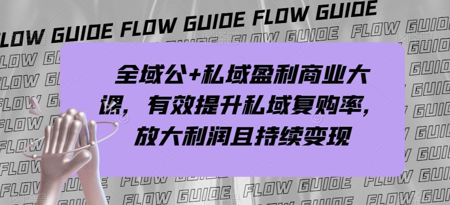 全域公+私域盈利商业大课，有效提升私域复购率，放大利润且持续变现-小鹏项目网