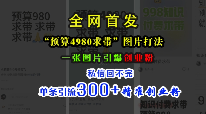 小红书“预算4980带我飞”图片打法，一张图片引爆创业粉，私信回不完，单条引流300+精准创业粉-小鹏项目网