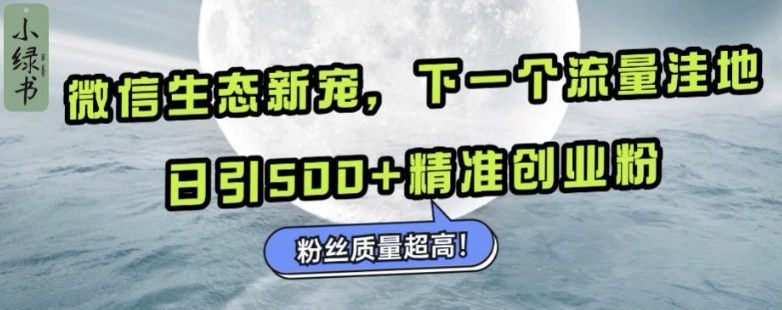 微信生态新宠小绿书：下一个流量洼地，日引500+精准创业粉，粉丝质量超高-小鹏项目网