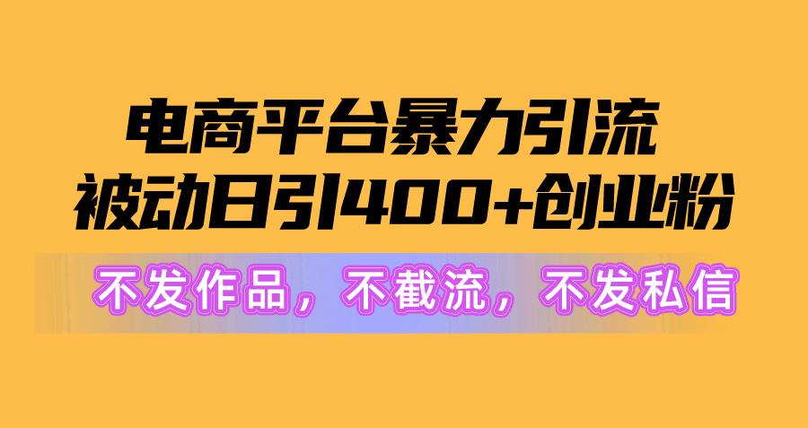 电商平台暴力引流,被动日引400+创业粉不发作品，不截流，不发私信-小鹏项目网