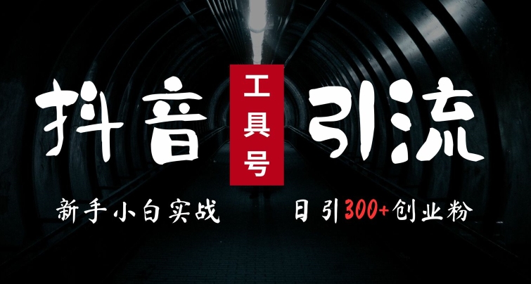 2024最新抖音工具号引流玩法，高效日引300+创业粉，当天变现5k，小白也可成为实战高手-小鹏项目网