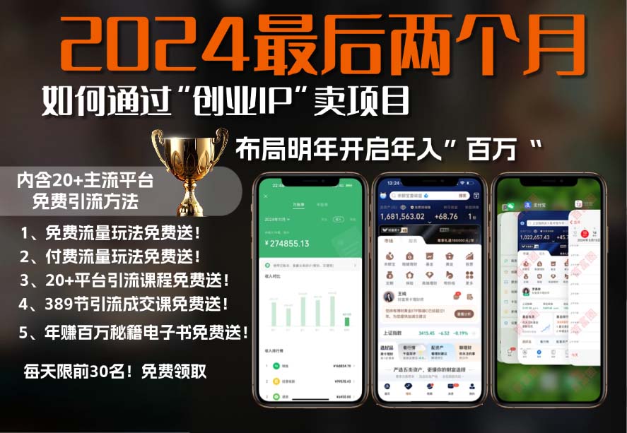 2024最后两个月如何通过”创业IP“卖项目年入”百万“,创业IP+最强引流…-小鹏项目网