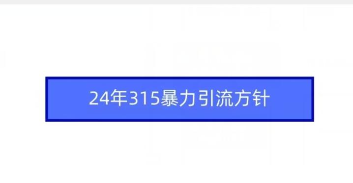 24年315暴力引流方针-小鹏项目网