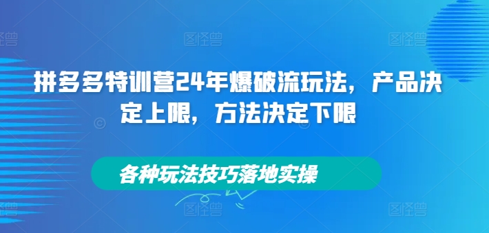 拼多多特训营24年爆破流玩法，产品决定上限，方法决定下限，各种玩法技巧落地实操-小鹏项目网