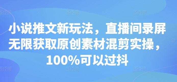 小说推文新玩法，直播间录屏无限获取原创素材混剪实操，100%可以过抖-小鹏项目网