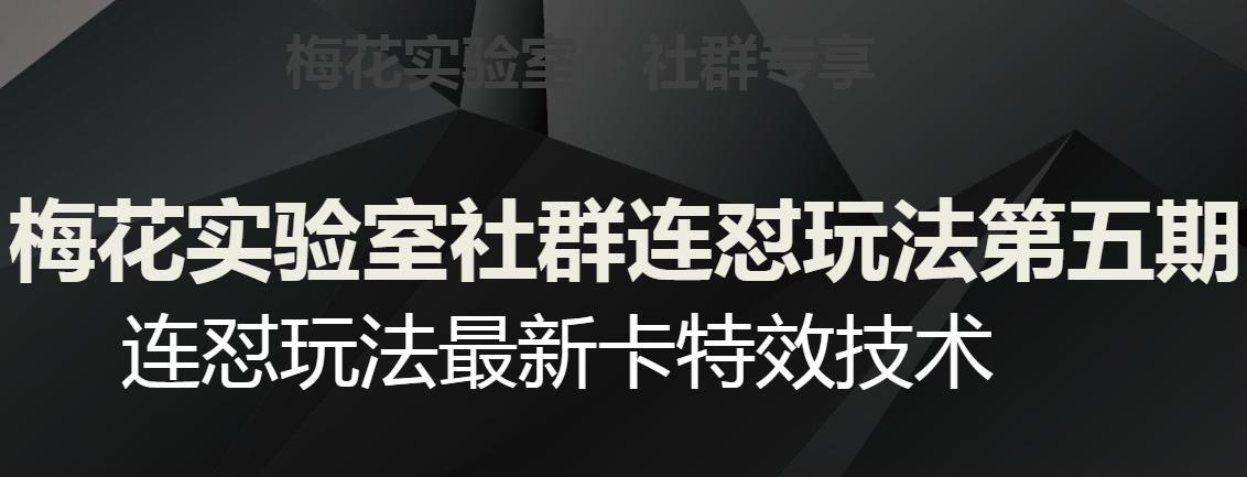 梅花实验室社群连怼玩法第五期，视频号连怼玩法最新卡特效技术-小鹏项目网