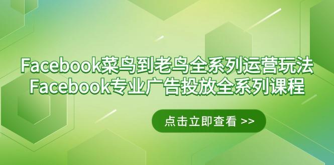 Facebook-菜鸟到老鸟全系列运营玩法+Facebook-专业广告投放全系列课程-小鹏项目网