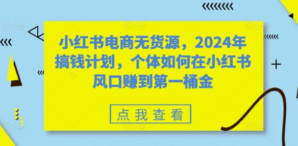 小红书电商无货源，2024年搞钱计划，个体如何在小红书风口赚到第一桶金-小鹏项目网