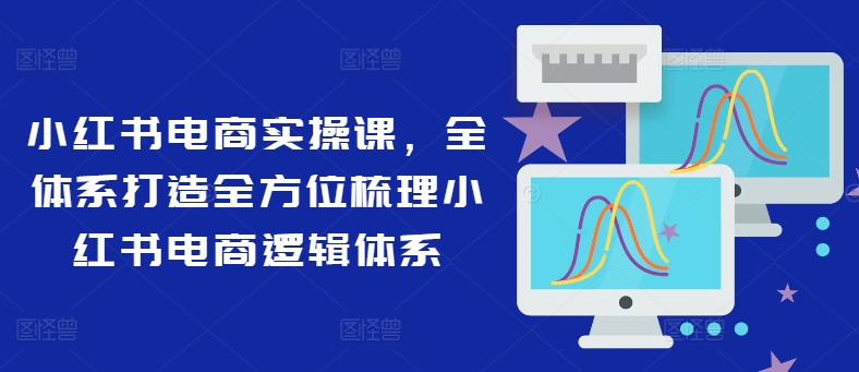 小红书电商实操课，全体系打造全方位梳理小红书电商逻辑体系-小鹏项目网